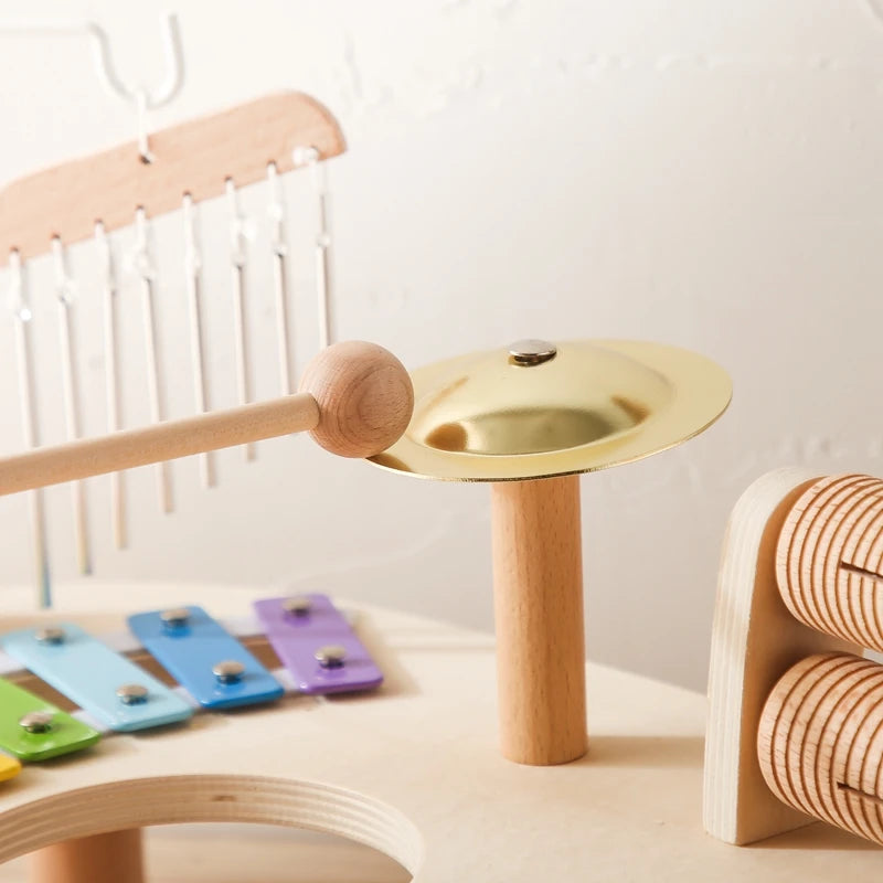 Kids Montessori Wooden Instruments