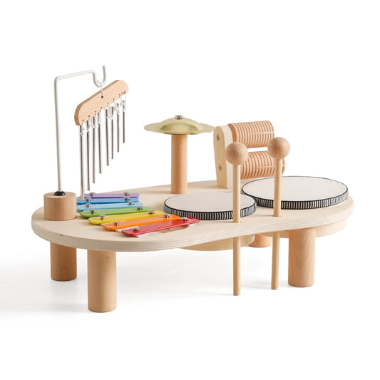 Kids Montessori Wooden Instruments